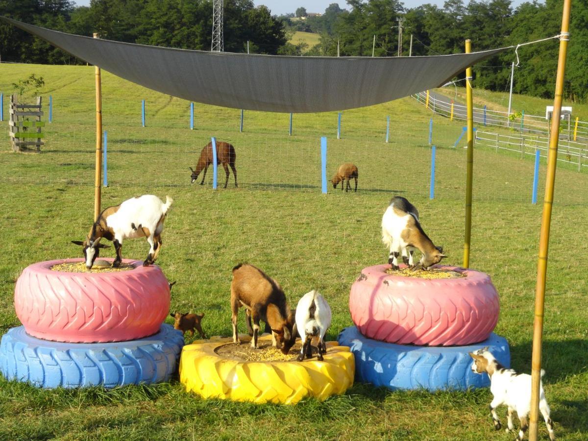 Bed and Breakfast La Petite Ferme De Pouillon - Parc Animalier - Aire De Loisirs Exterior foto